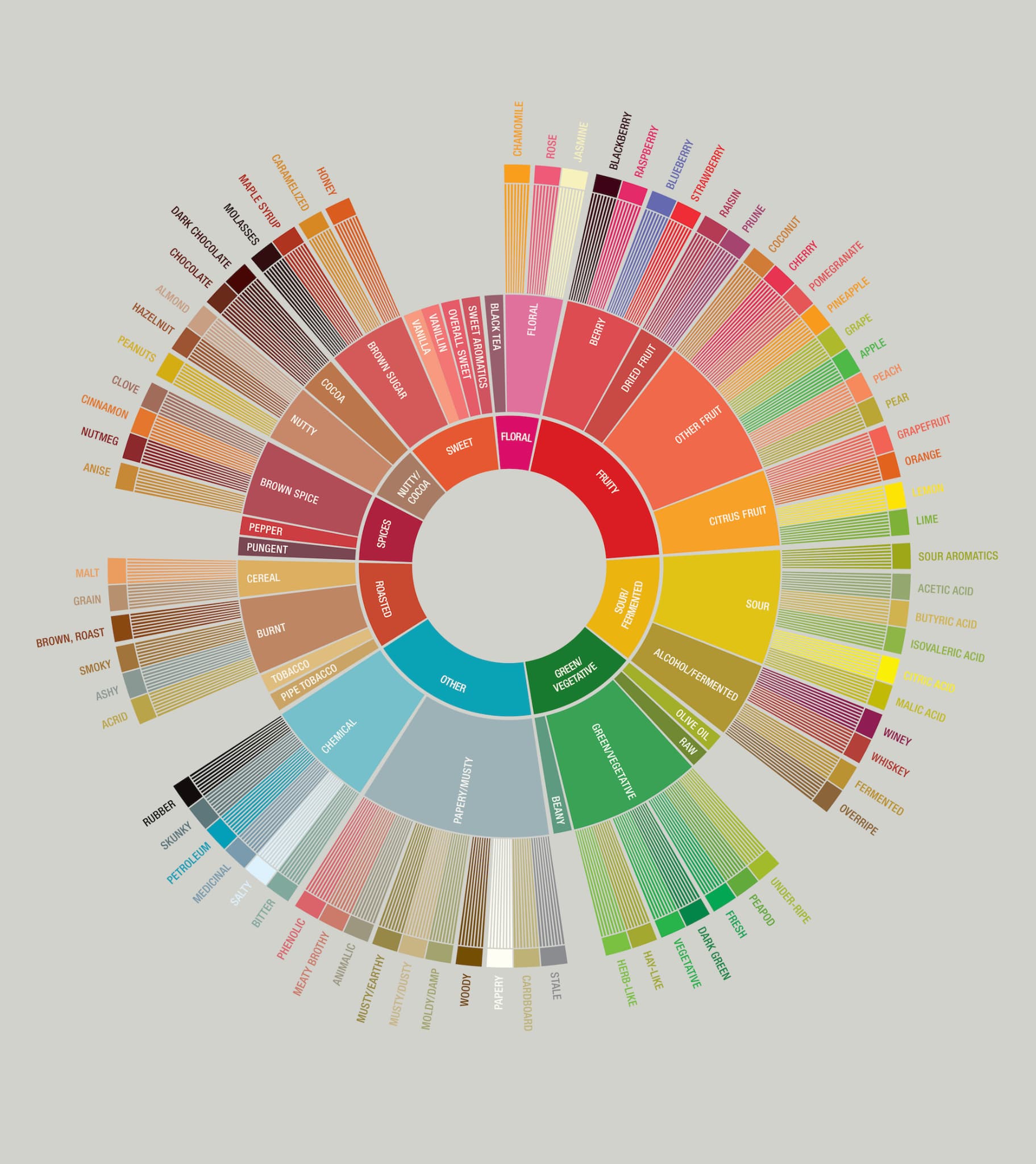 Coffee flavour wheel