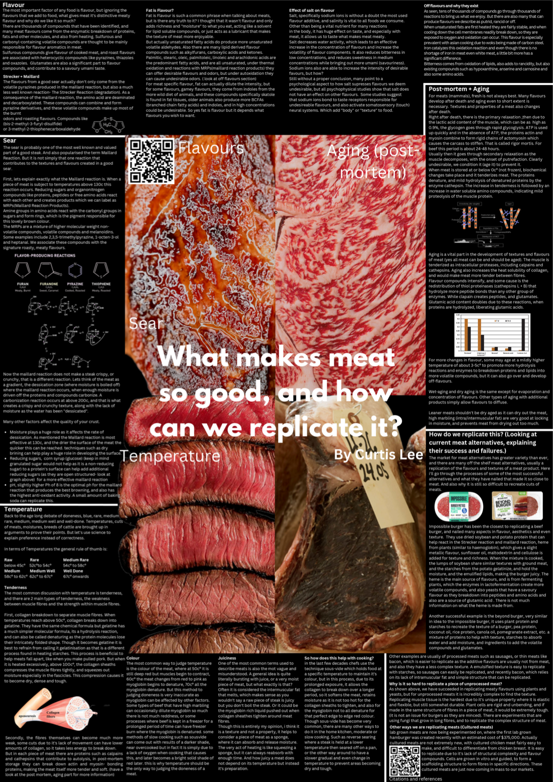 Preview image from the Tonbridge science conference poster