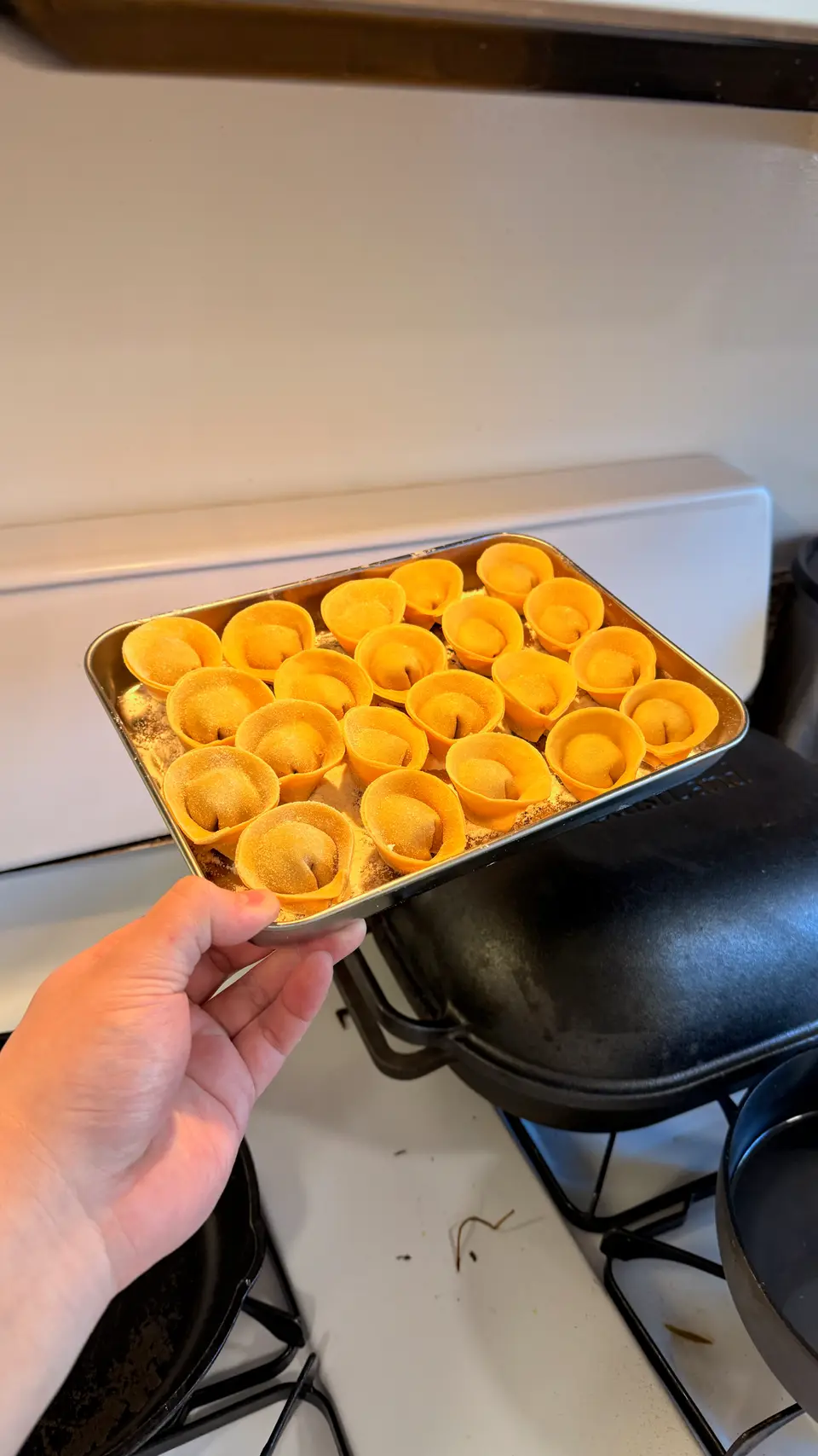 Fresh cappelletti, stuffed pasta, and handmade noodles, image 1