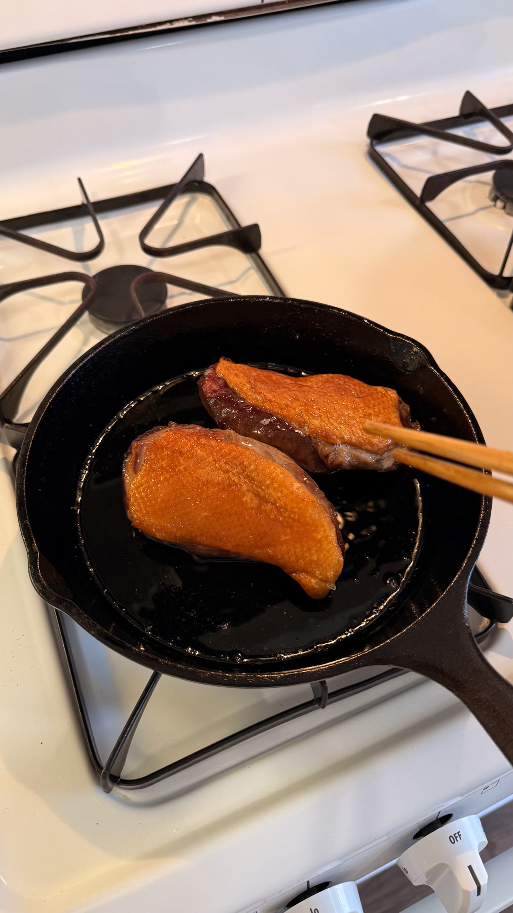 DuckTofuDonabe — crispduck