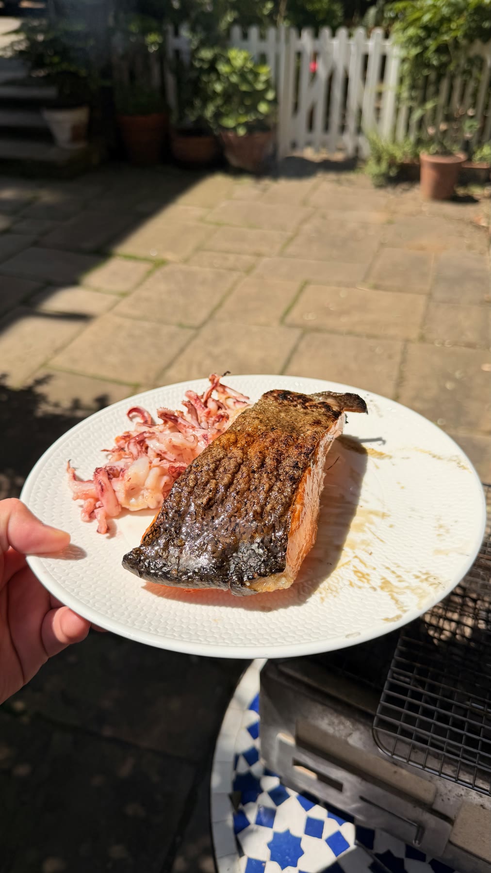 GrilledTrout — Crispy_Trout