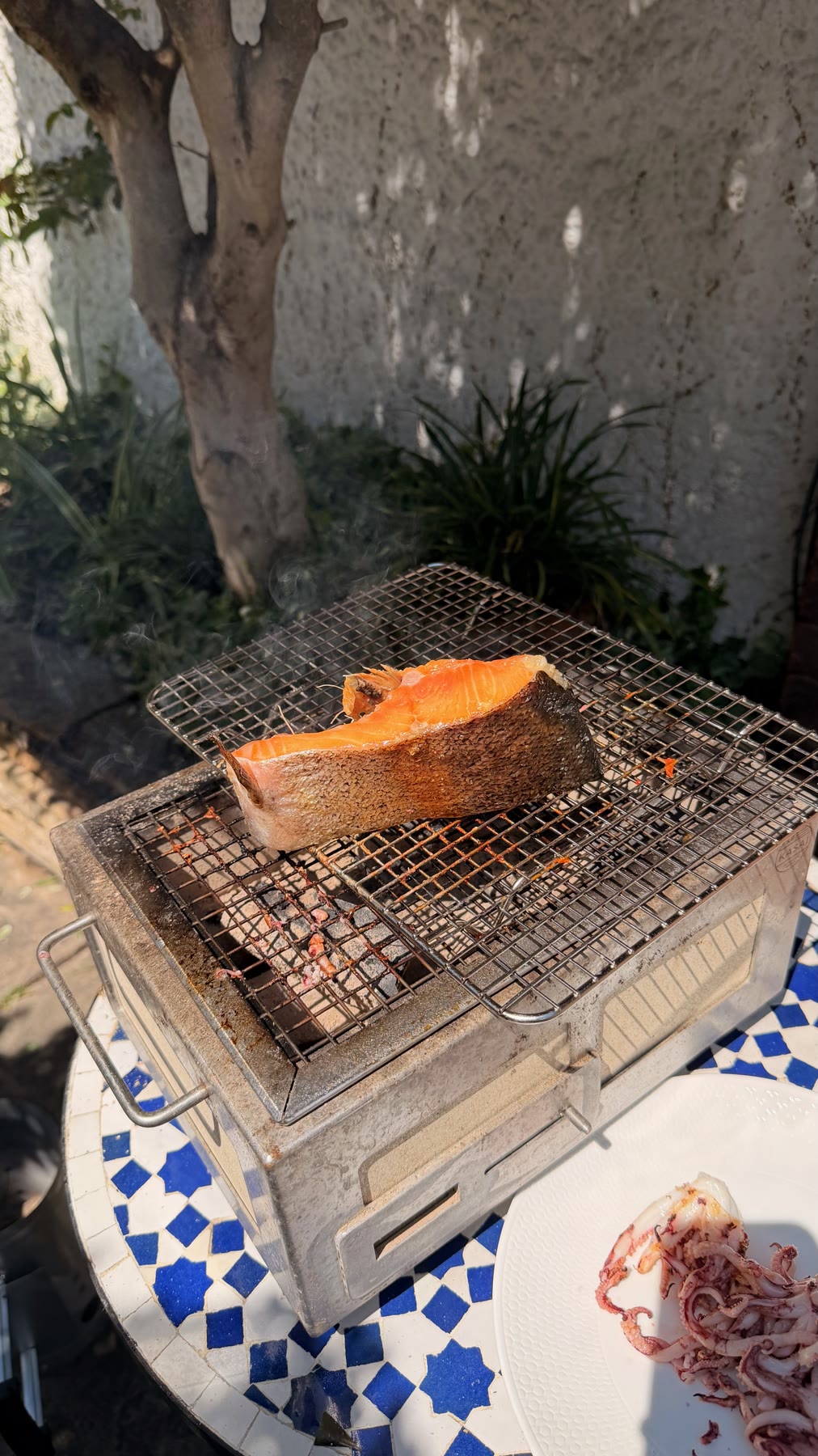 GrilledTrout — Trout