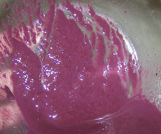 Dense Merlot lees left behind after fermentation.