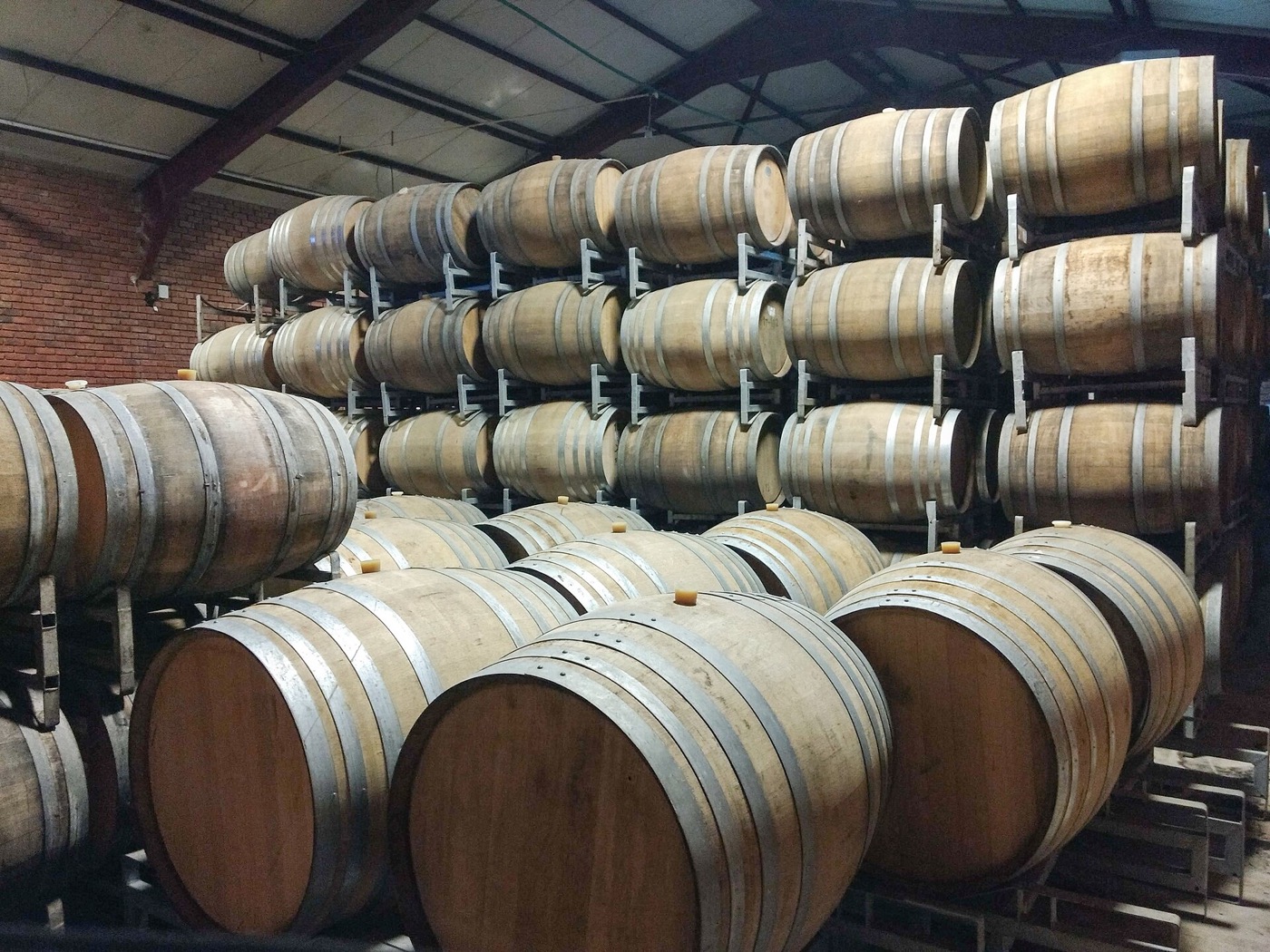 Rows of oak barrels holding wine for maturation in a cellar.