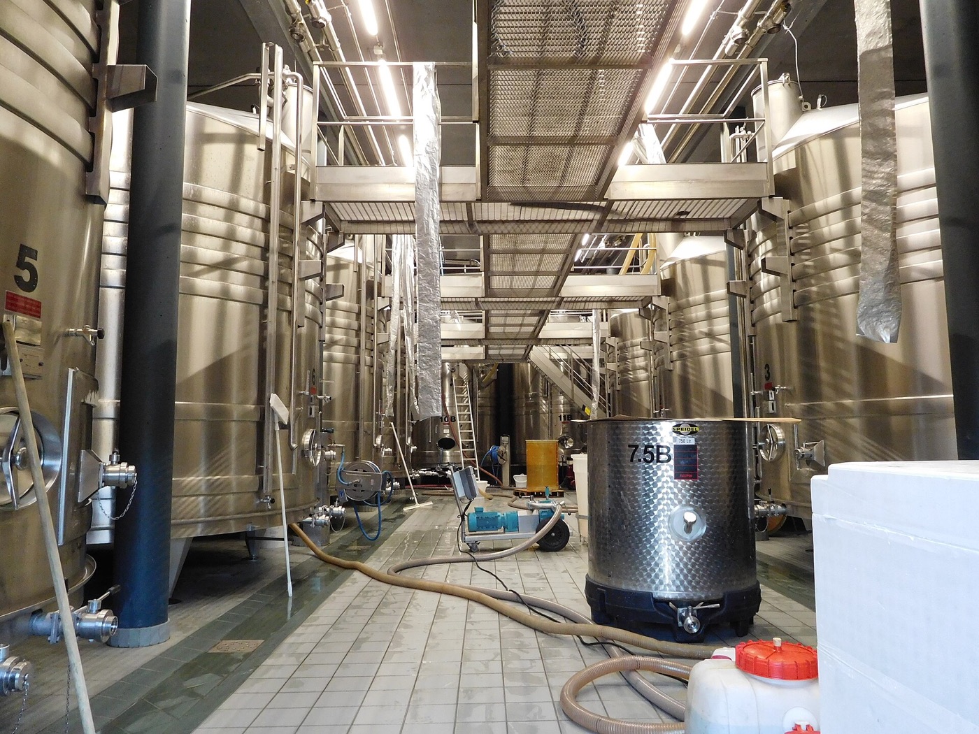 Temperature-controlled stainless-steel wine tanks in a cellar.